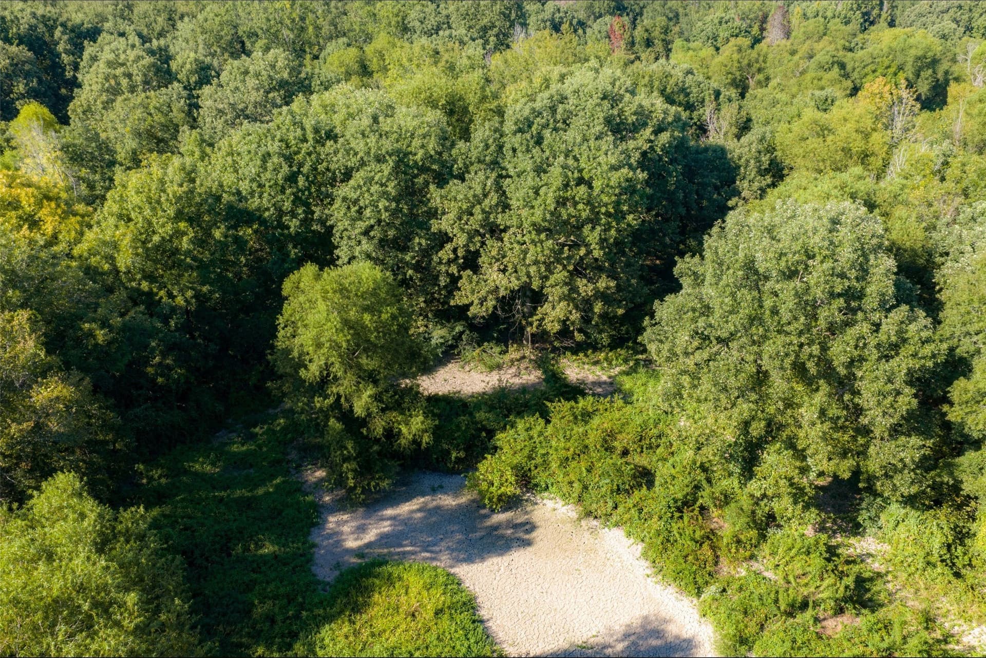 115.89 acres in Henderson County - photo 27
