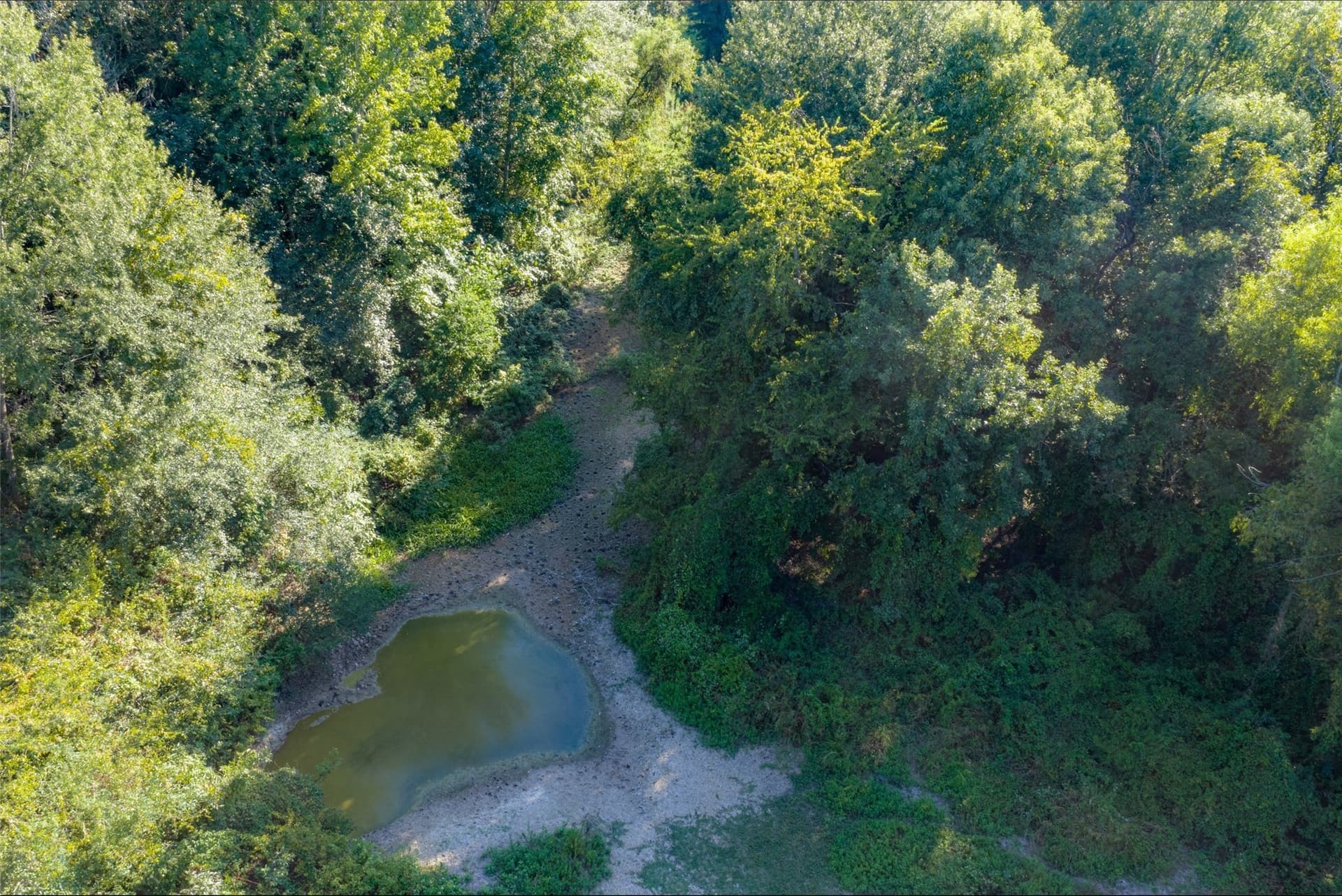 115.89 acres in Henderson County - photo 7