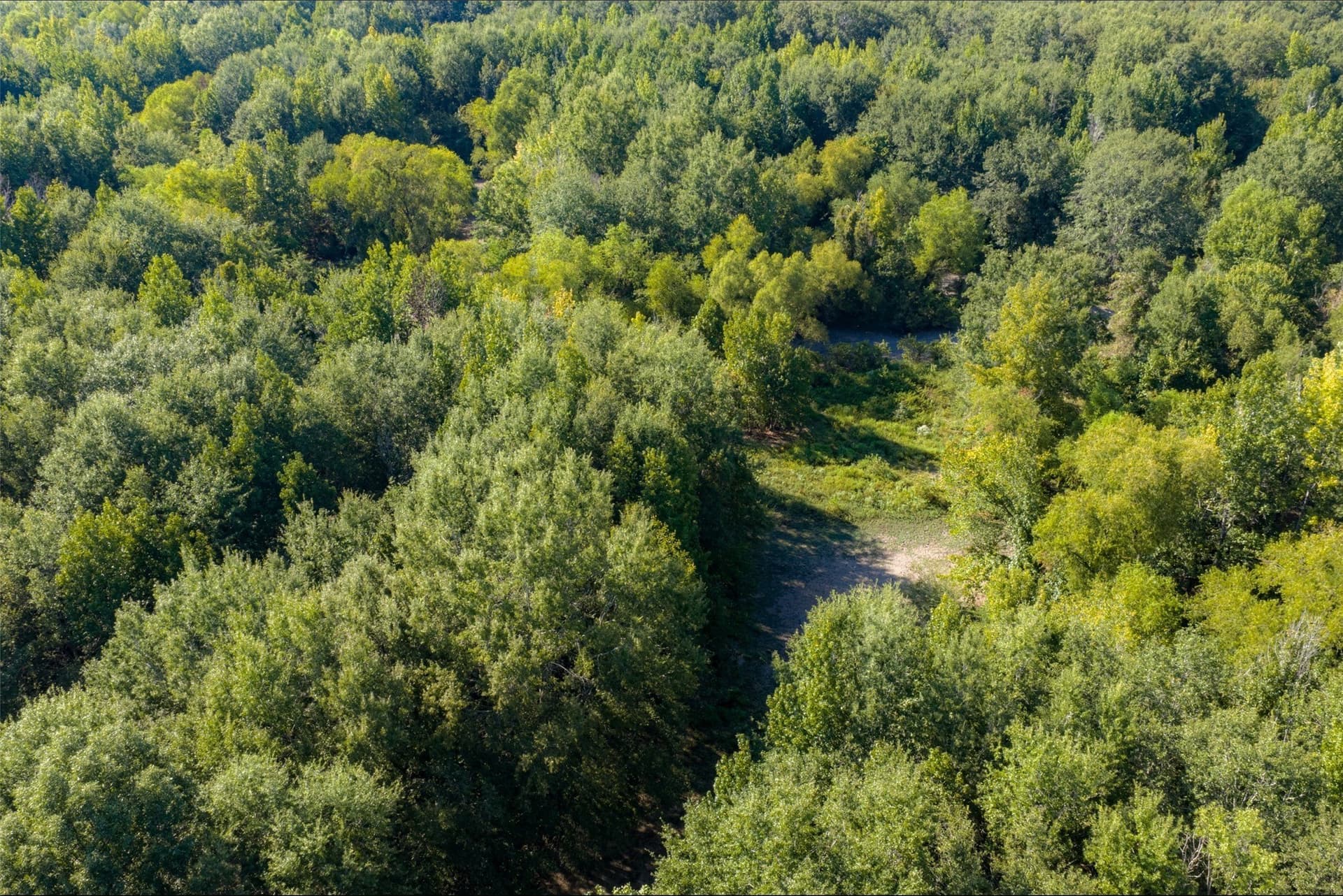 115.89 acres in Henderson County - photo 30