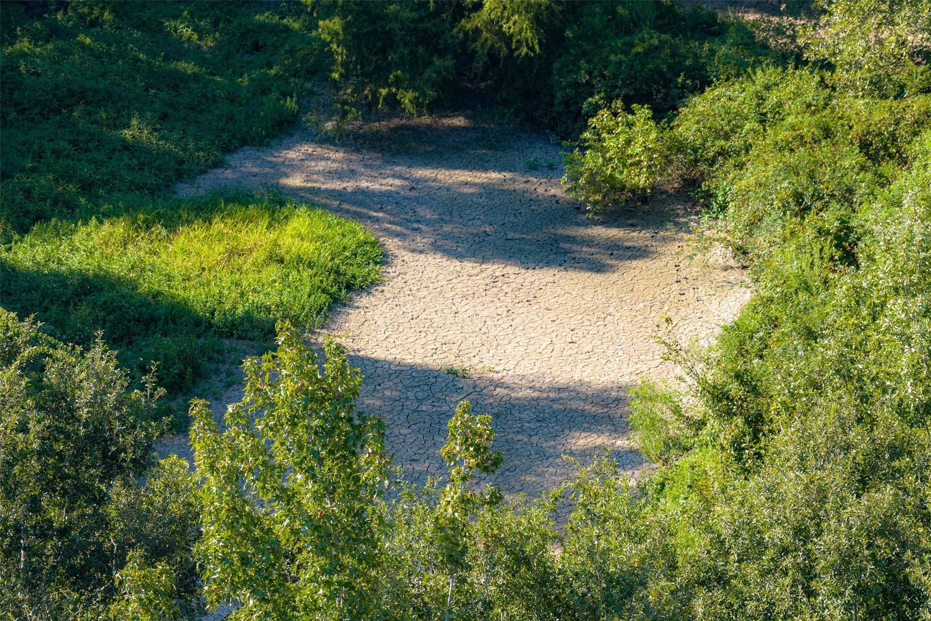 115.89 acres in Henderson County - photo 8