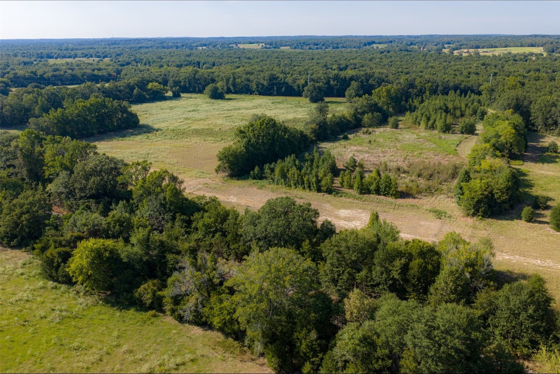 115.89 acres in Henderson County - photo 24