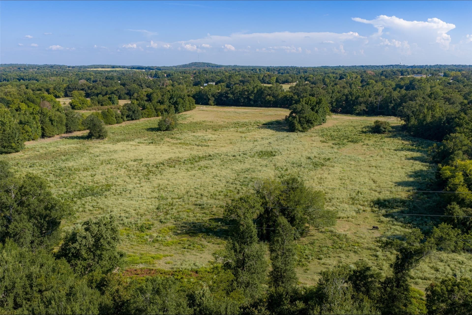 115.89 acres in Henderson County - photo 21