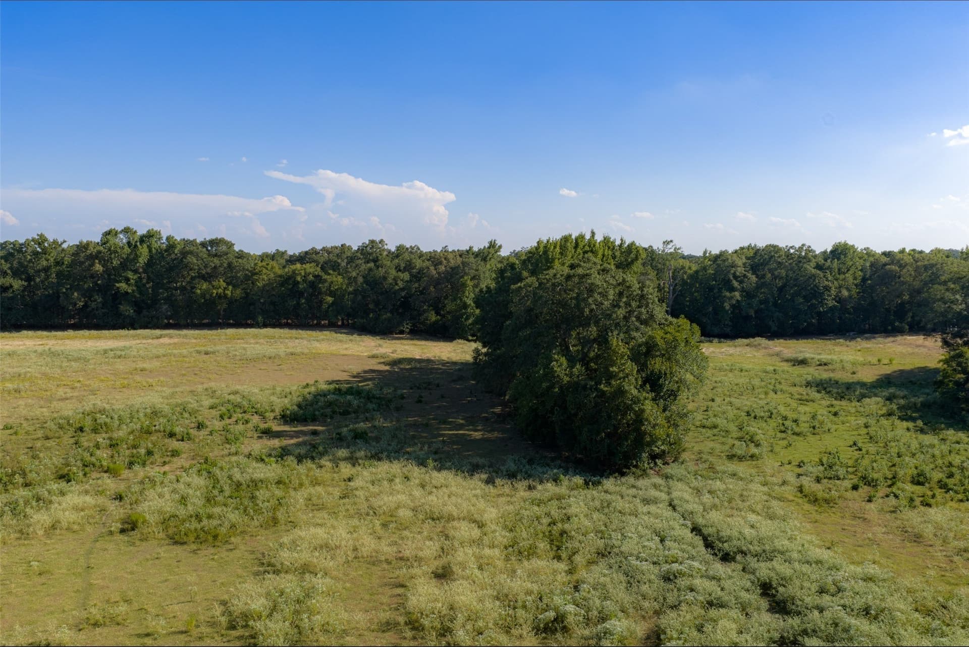 115.89 acres in Henderson County - photo 22