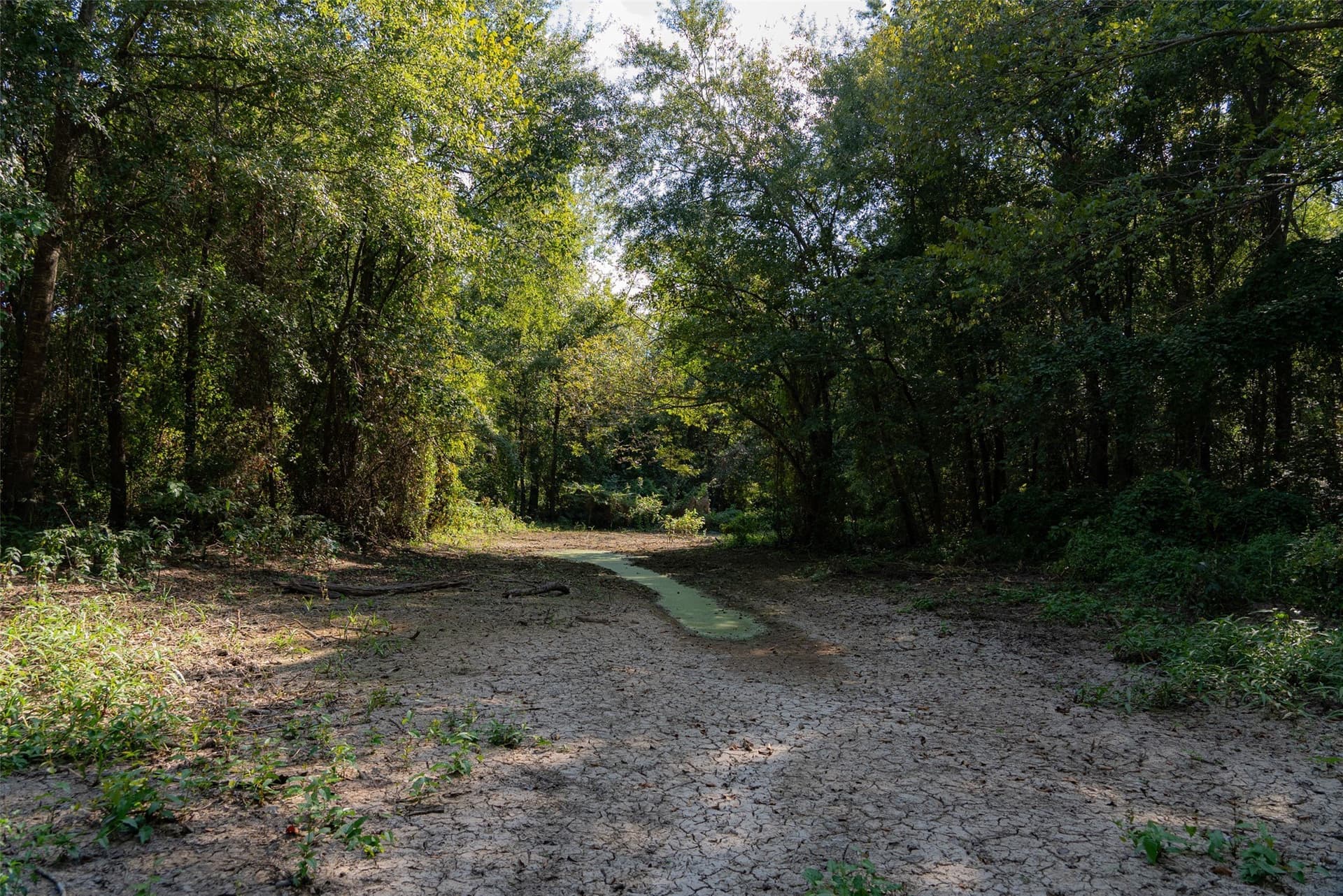 115.89 acres in Henderson County - photo 20