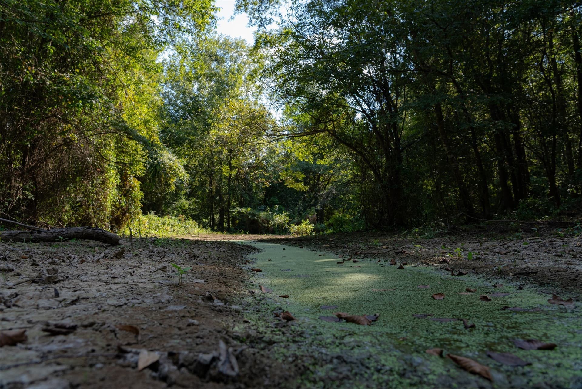 115.89 acres in Henderson County - photo 15