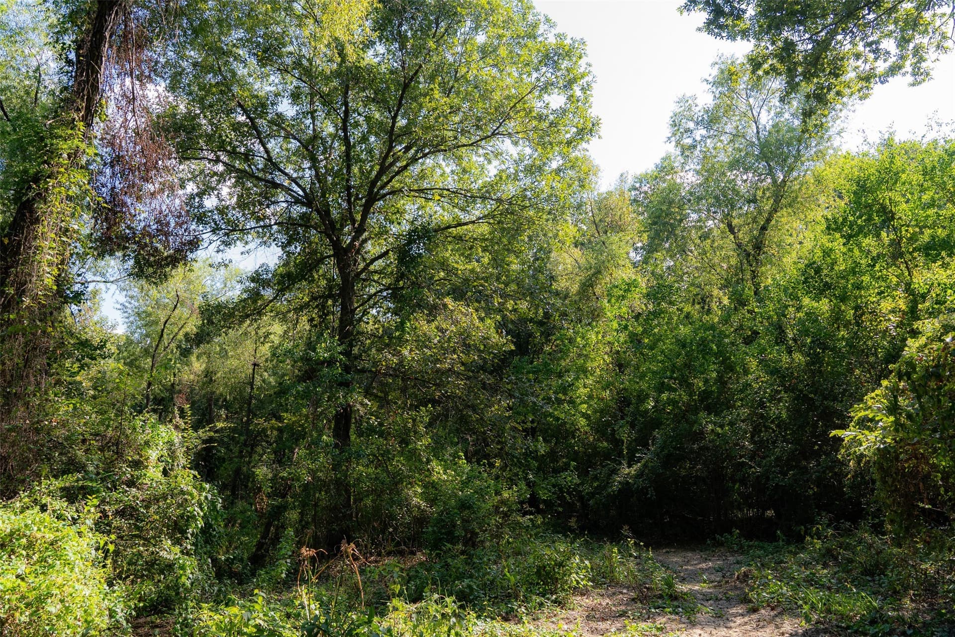 115.89 acres in Henderson County - photo 32
