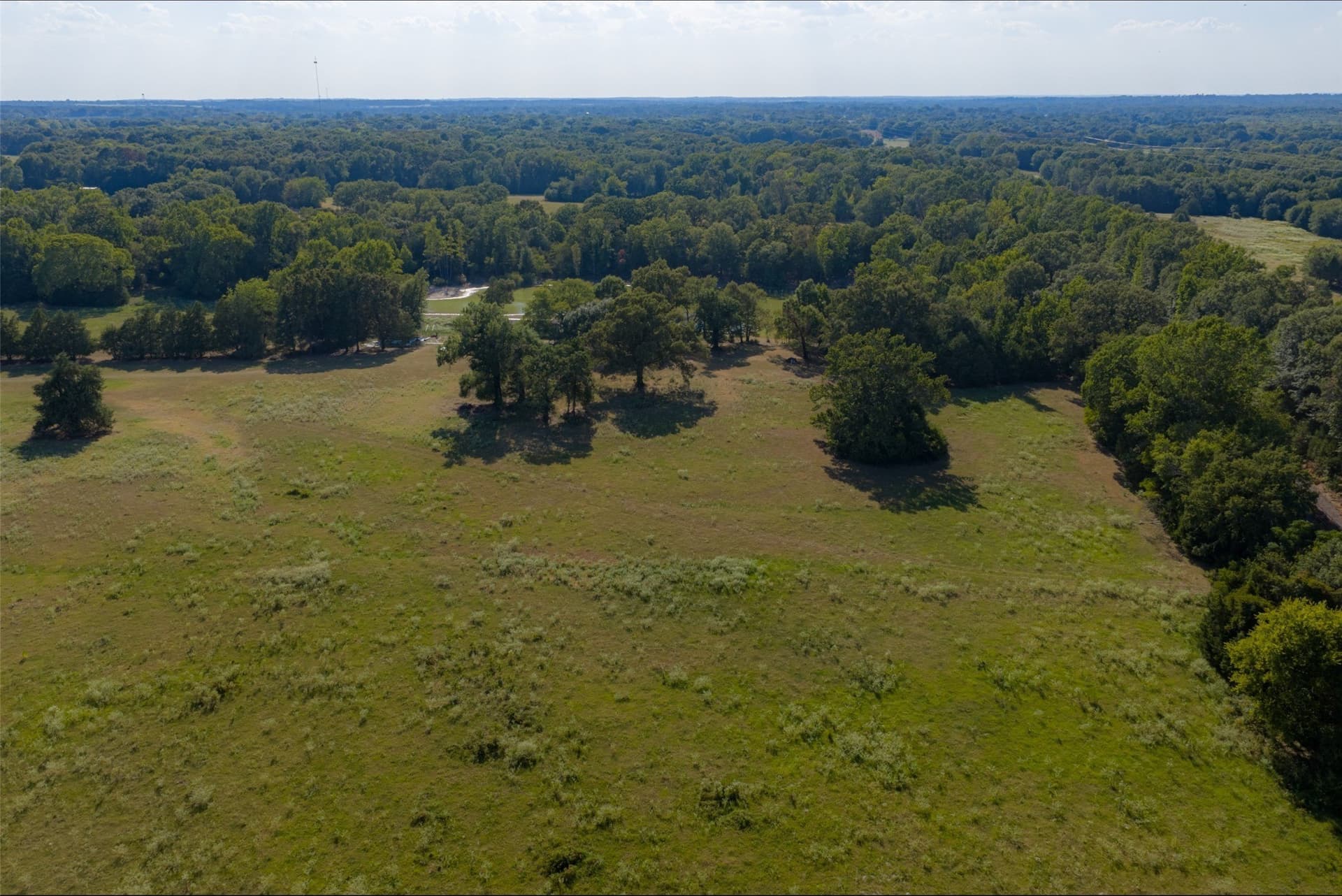 115.89 acres in Henderson County - photo 9