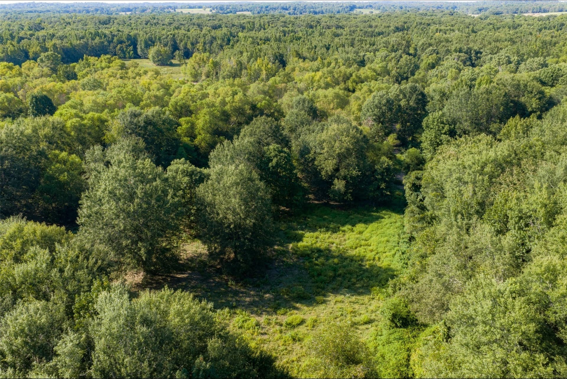 115.89 acres in Henderson County - photo 14