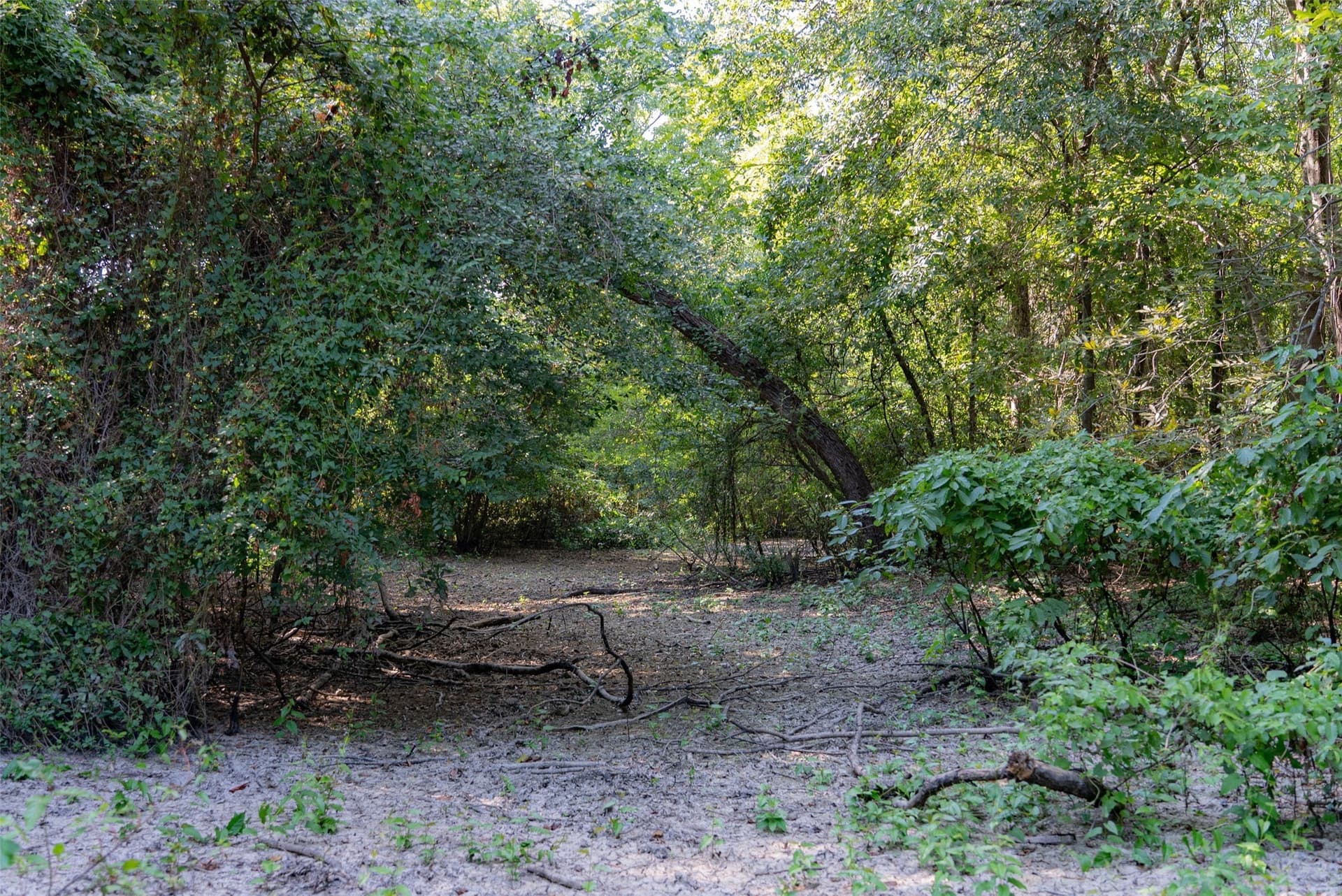 115.89 acres in Henderson County - photo 16
