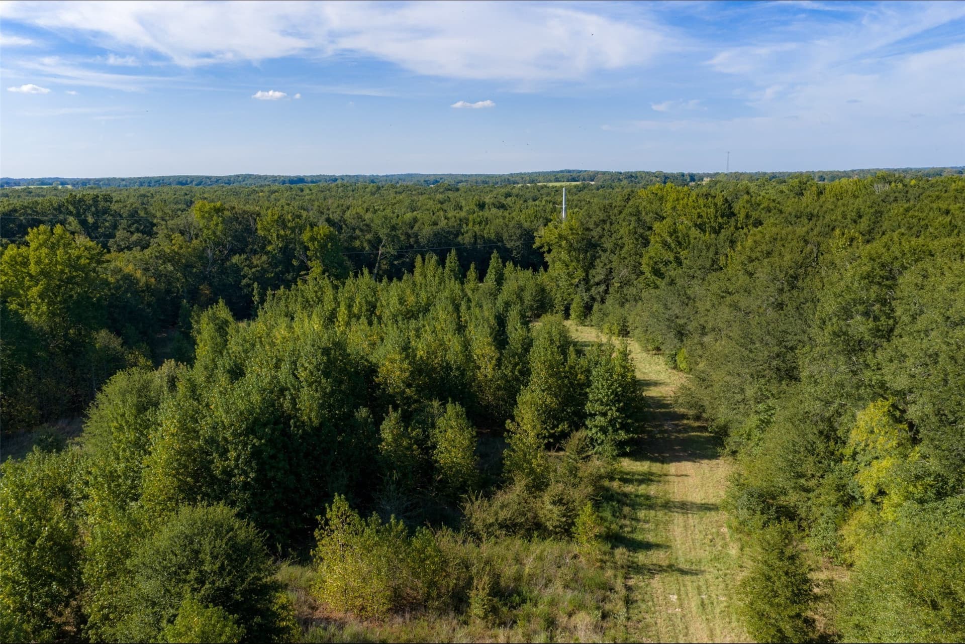 115.89 acres in Henderson County - photo 6