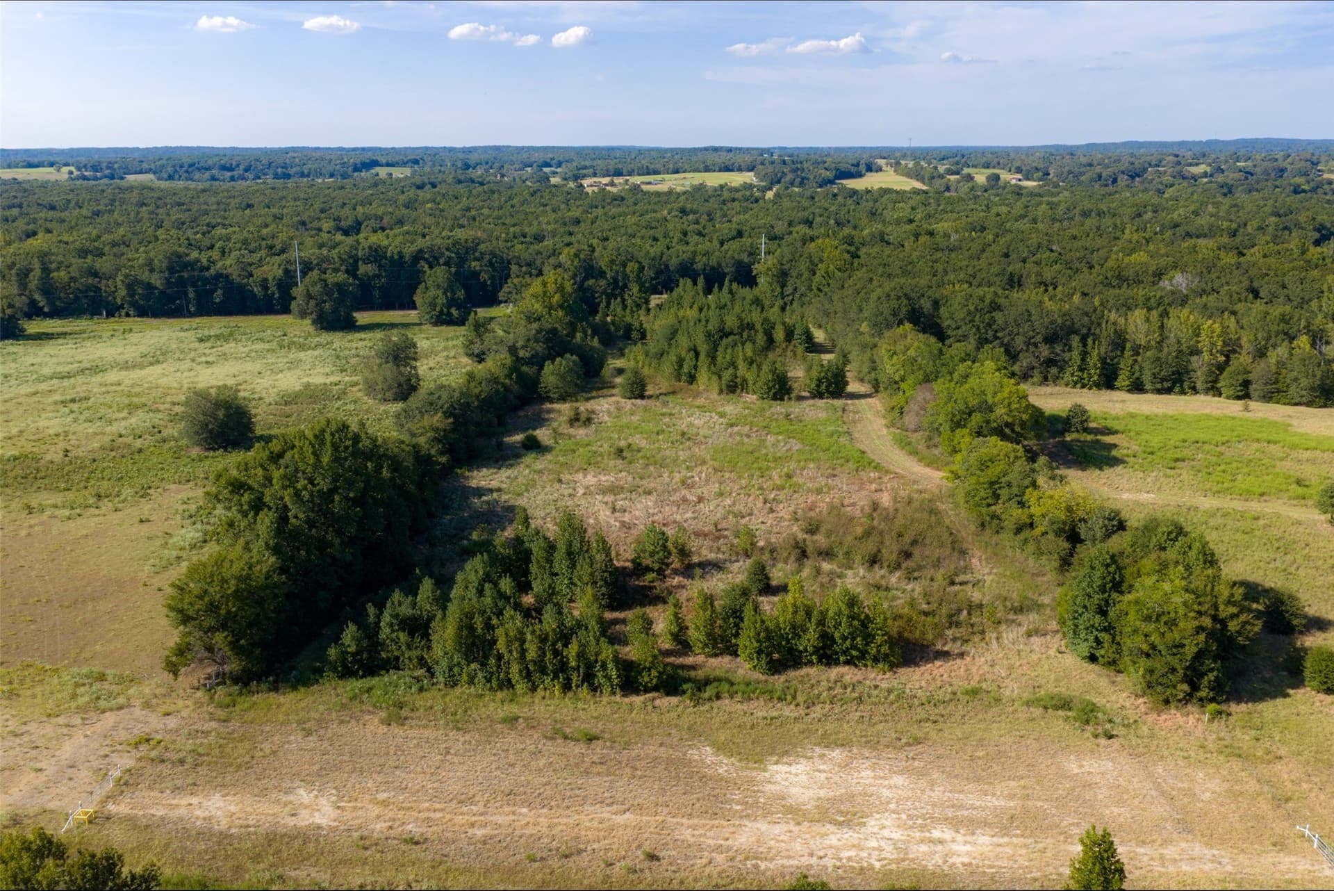 115.89 acres in Henderson County - photo 10