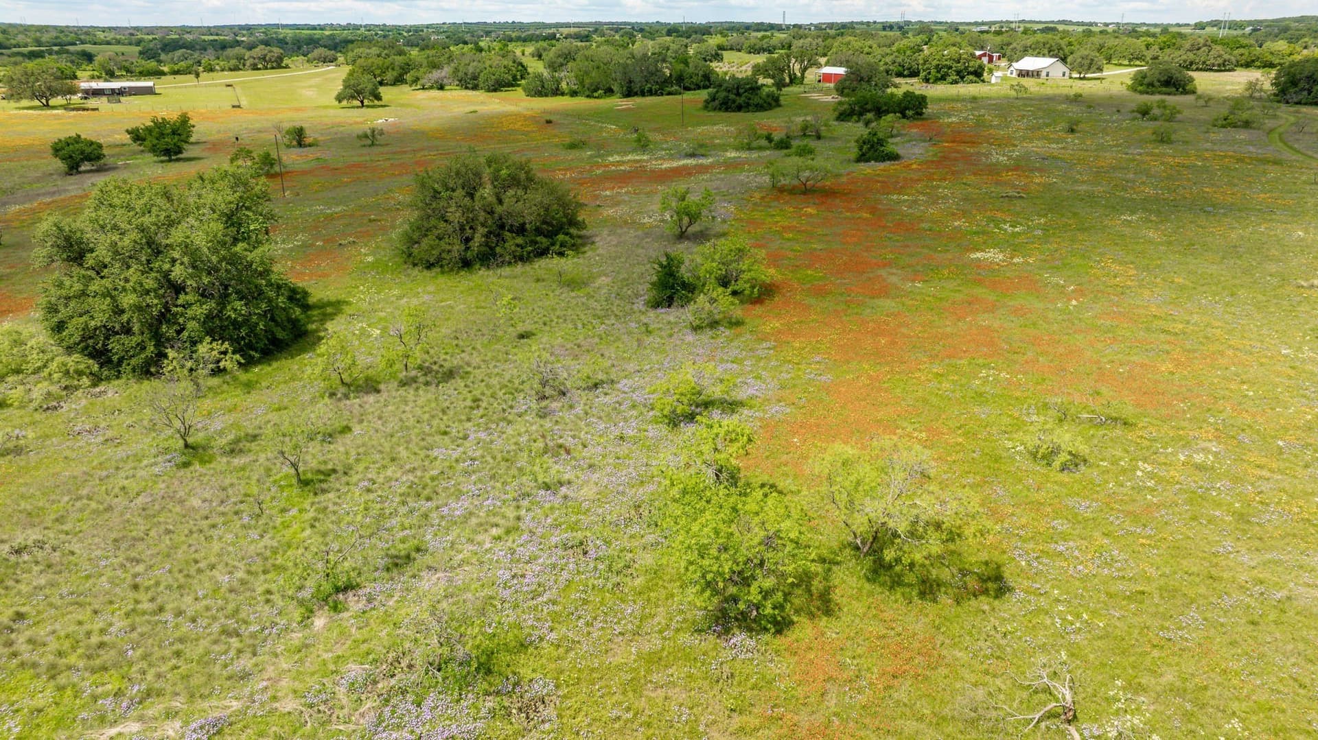 58 acres in Erath County - photo 8