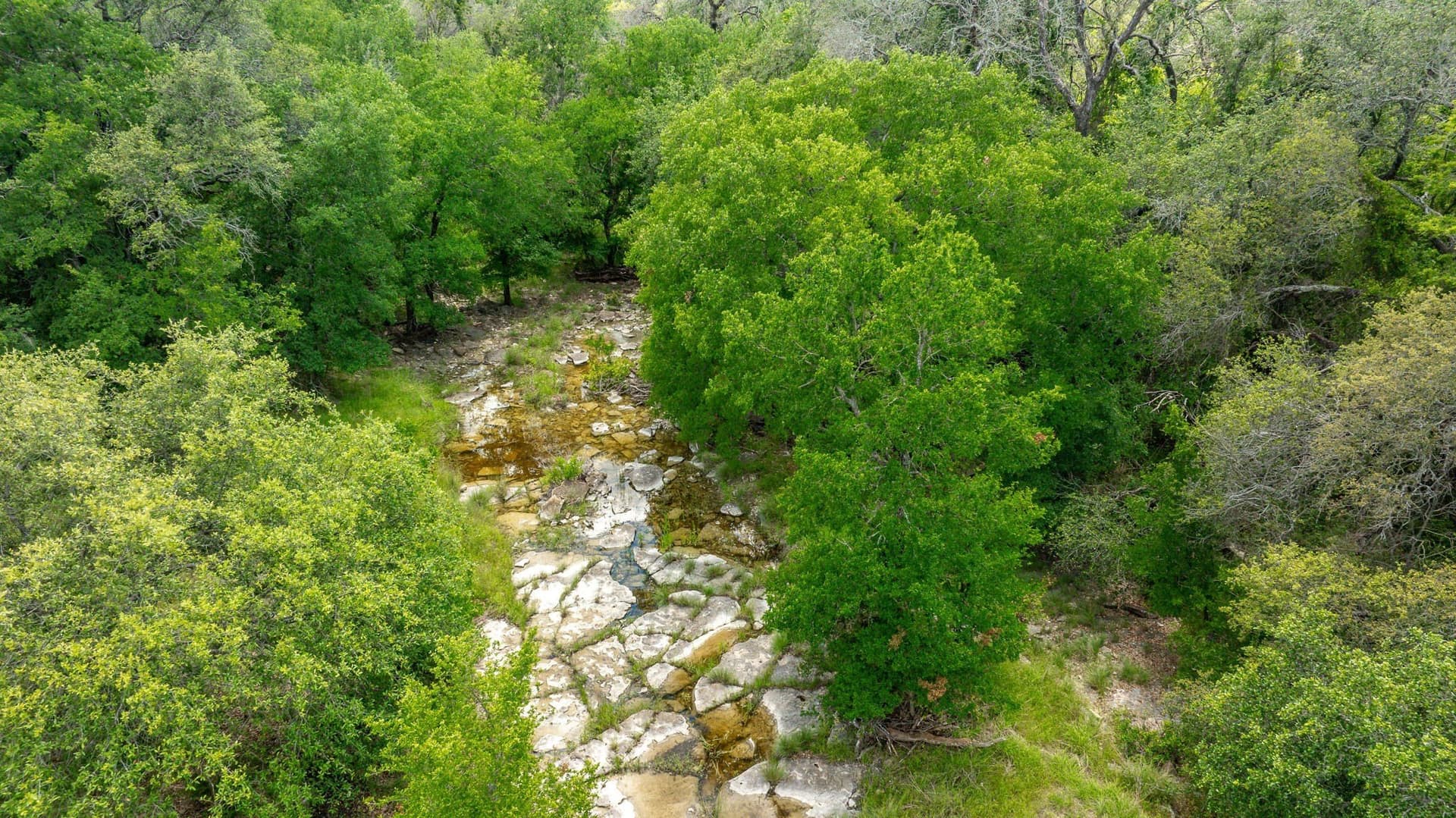 58 acres in Erath County - photo 22