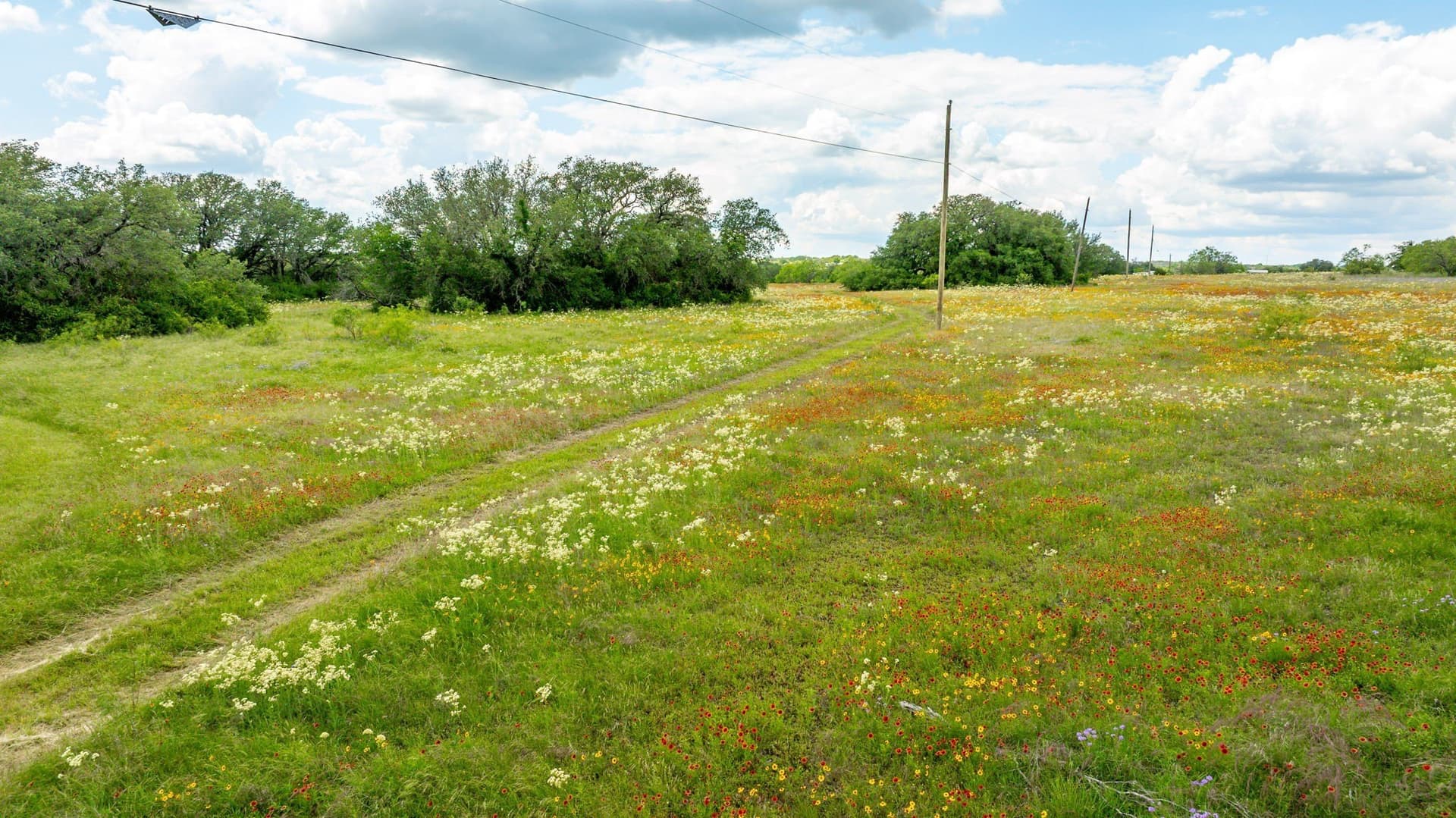58 acres in Erath County - photo 10