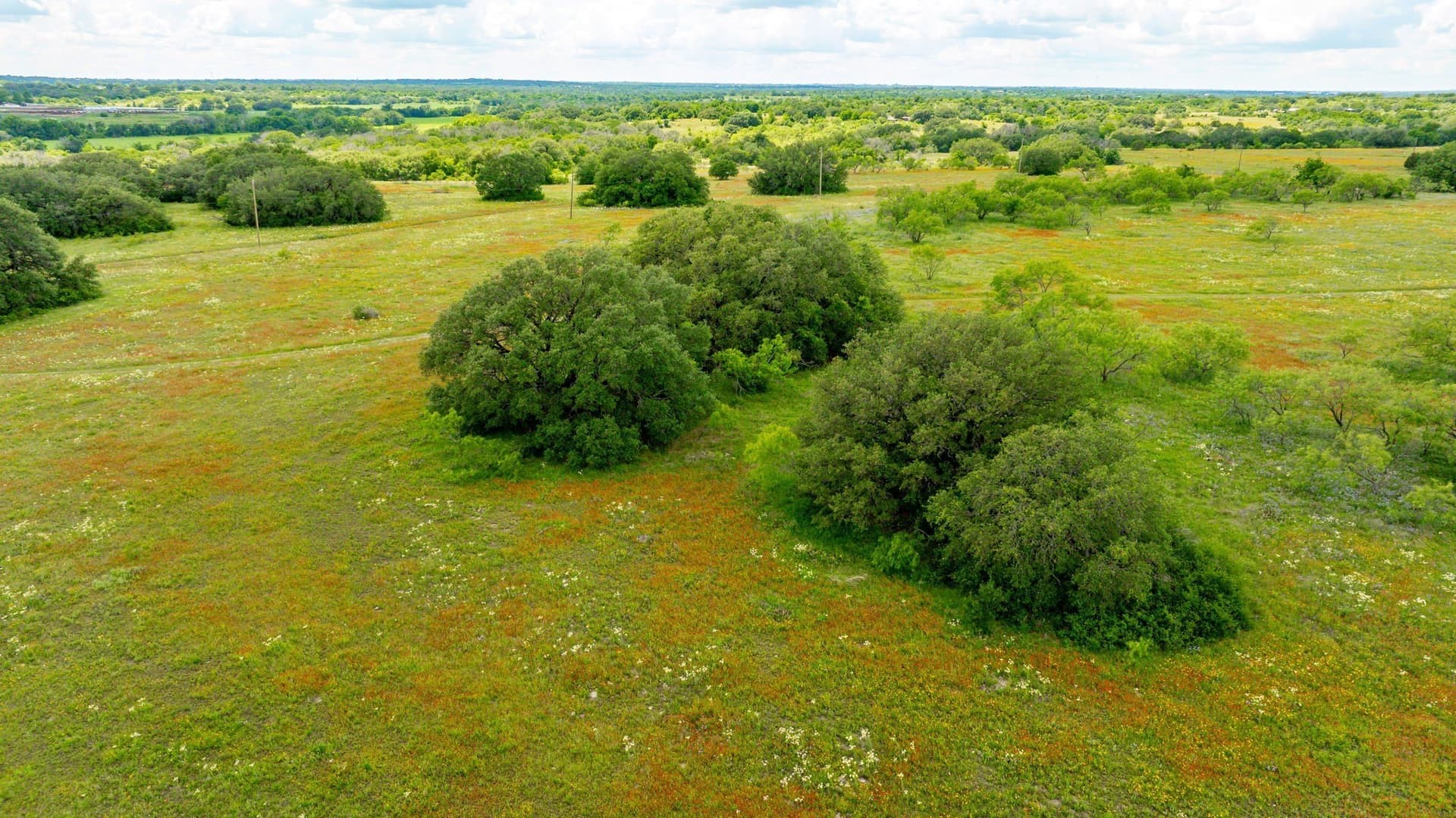 58 acres in Erath County - photo 9