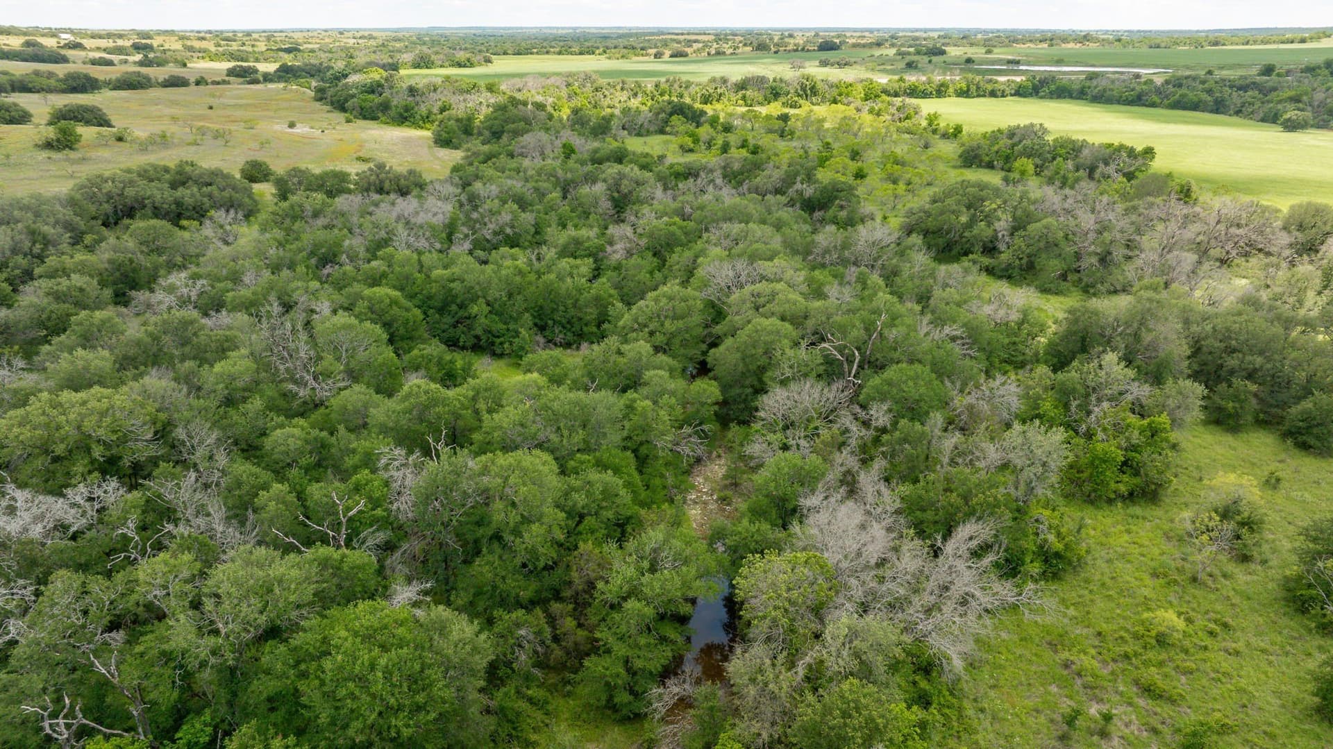 58 acres in Erath County - photo 15