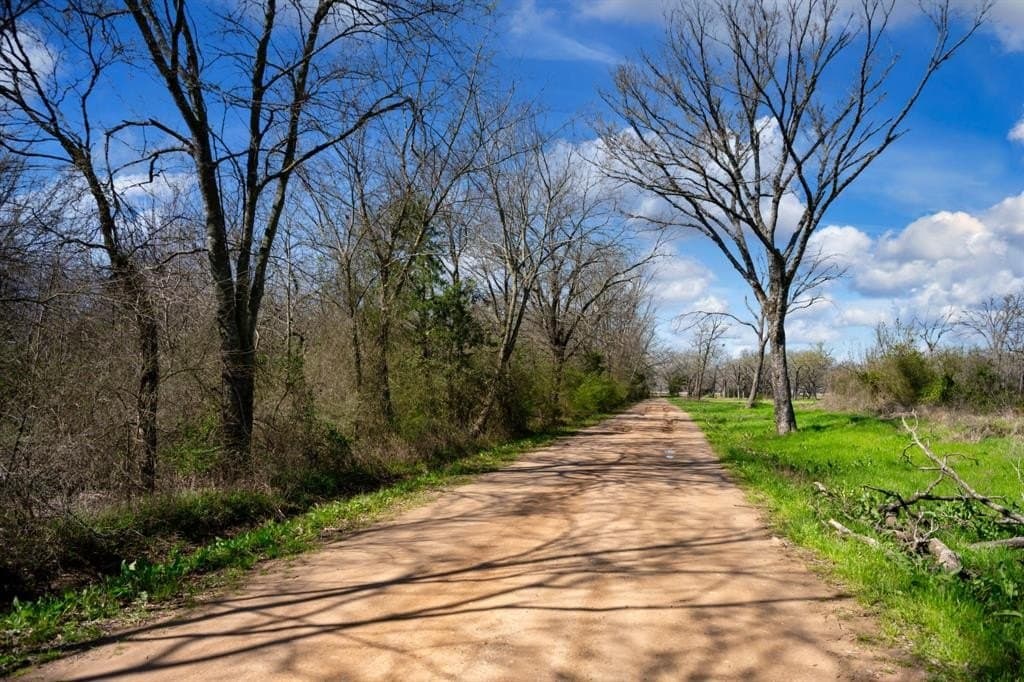 25 acres in Hopkins County gallery image 3