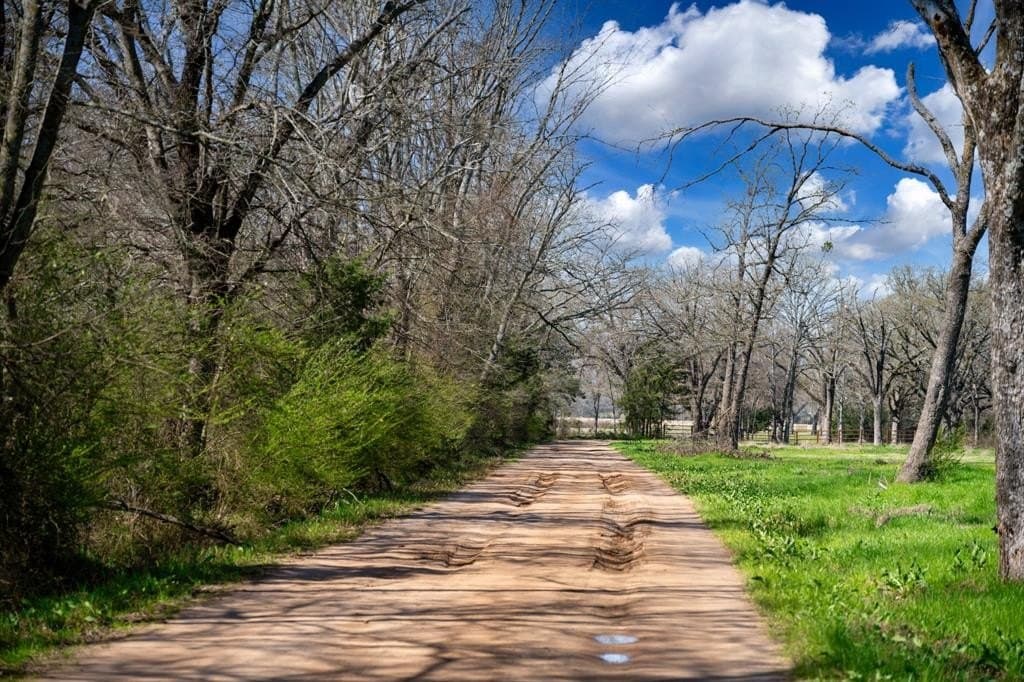 25 acres in Hopkins County gallery image 4