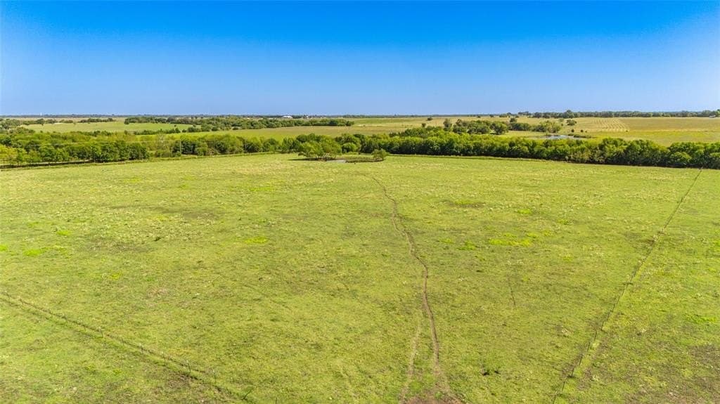 6 acres in Fannin County gallery image 2