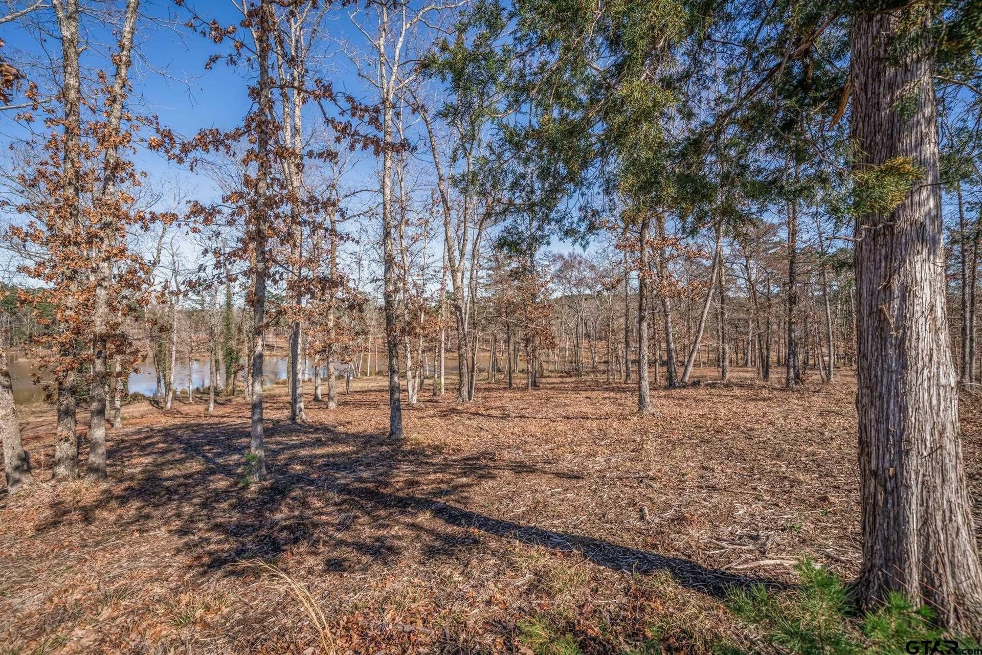 1.16 acres in Harrison County - photo 21