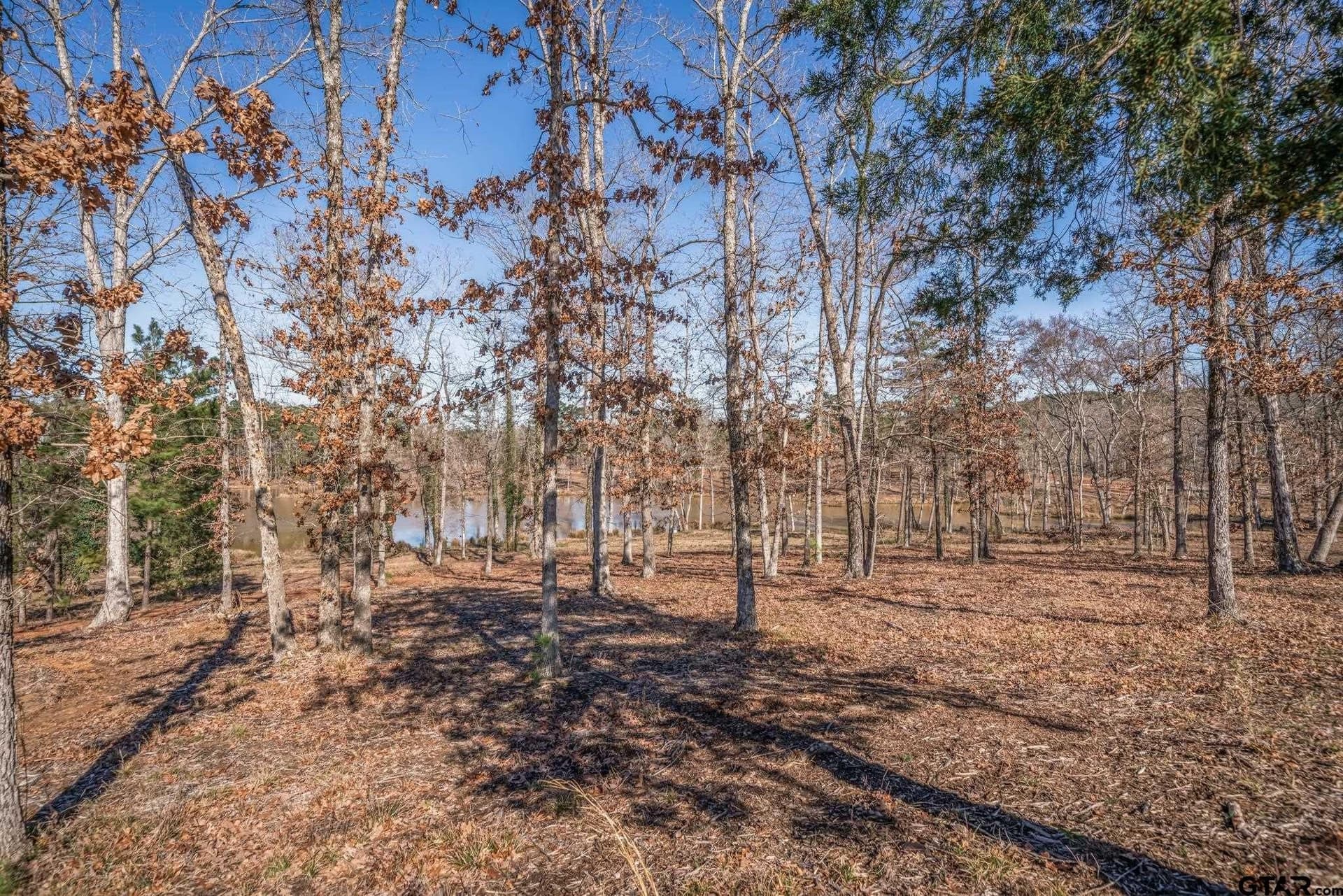 1.16 acres in Harrison County - photo 7