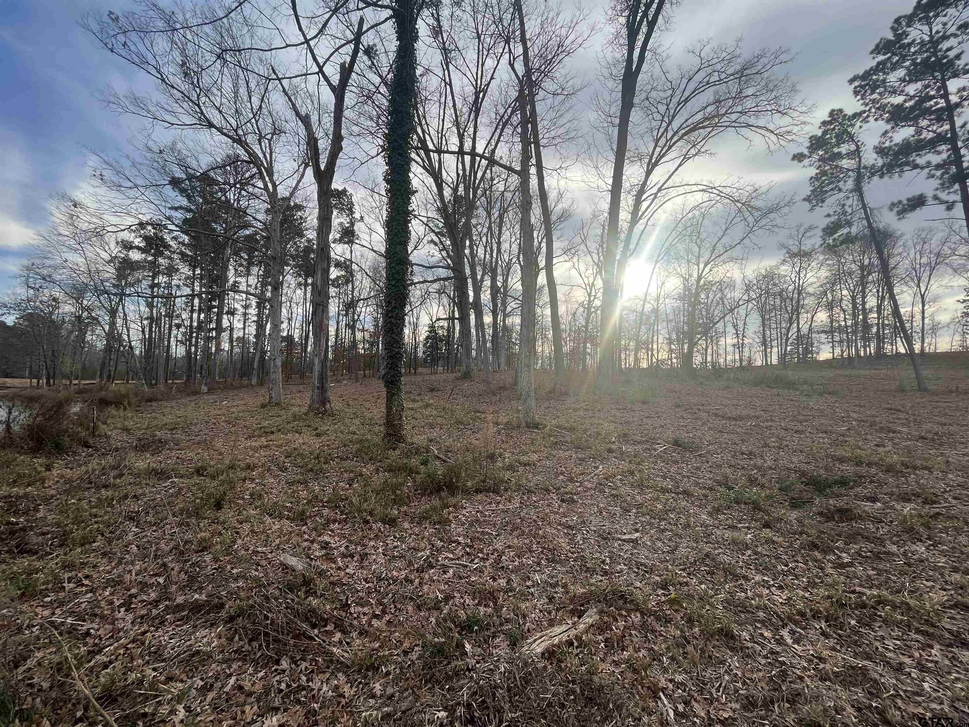 1.16 acres in Harrison County - photo 43