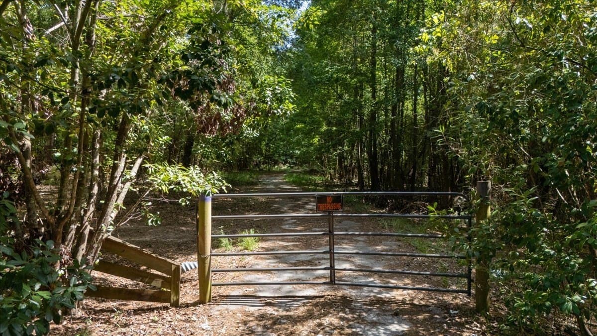 25 acres in Henderson County - photo 15