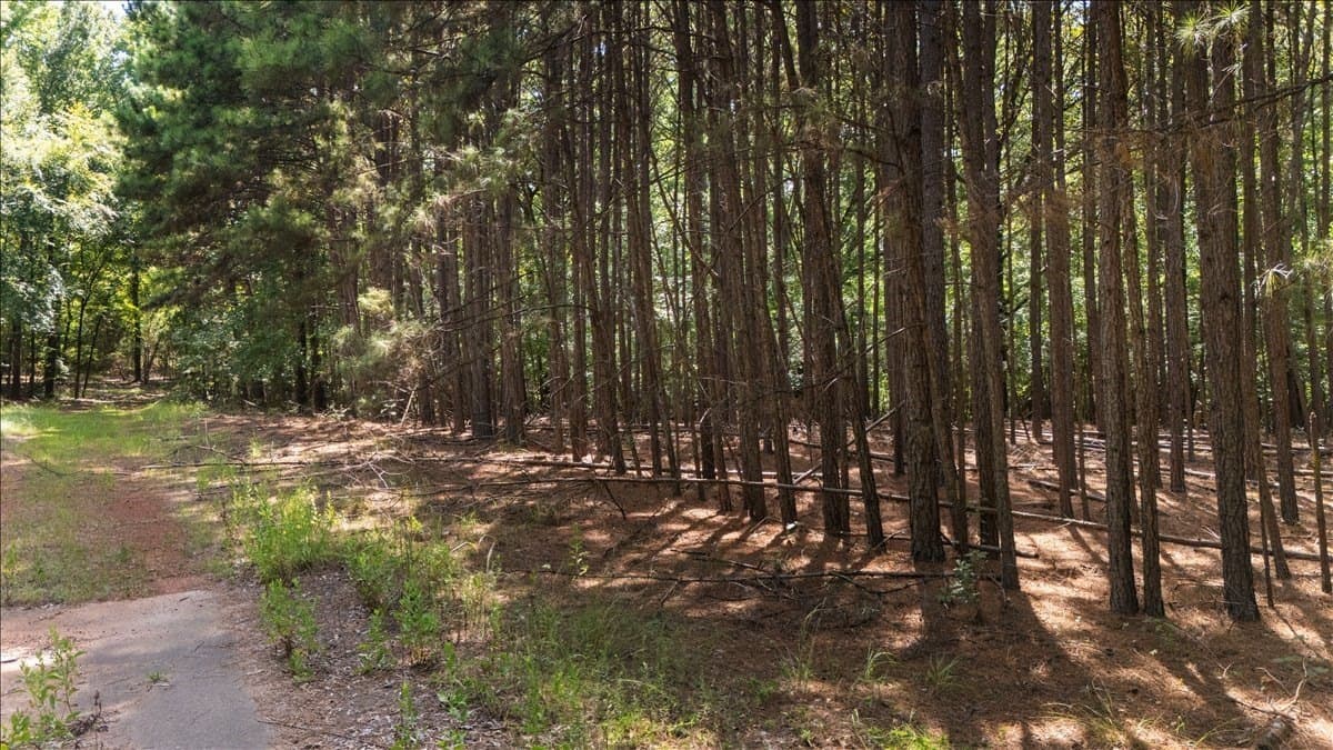 25 acres in Henderson County - photo 13