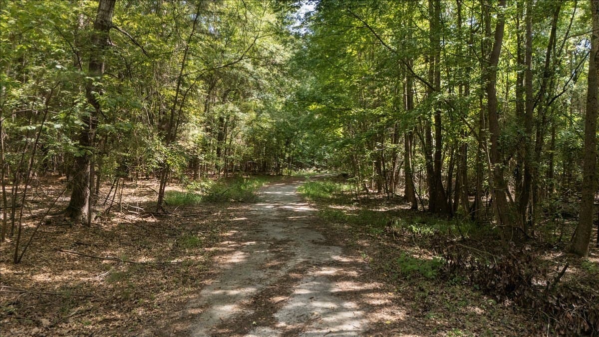 25 acres in Henderson County - photo 8