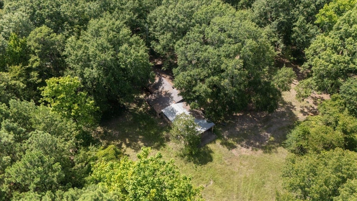 25 acres in Henderson County - photo 14