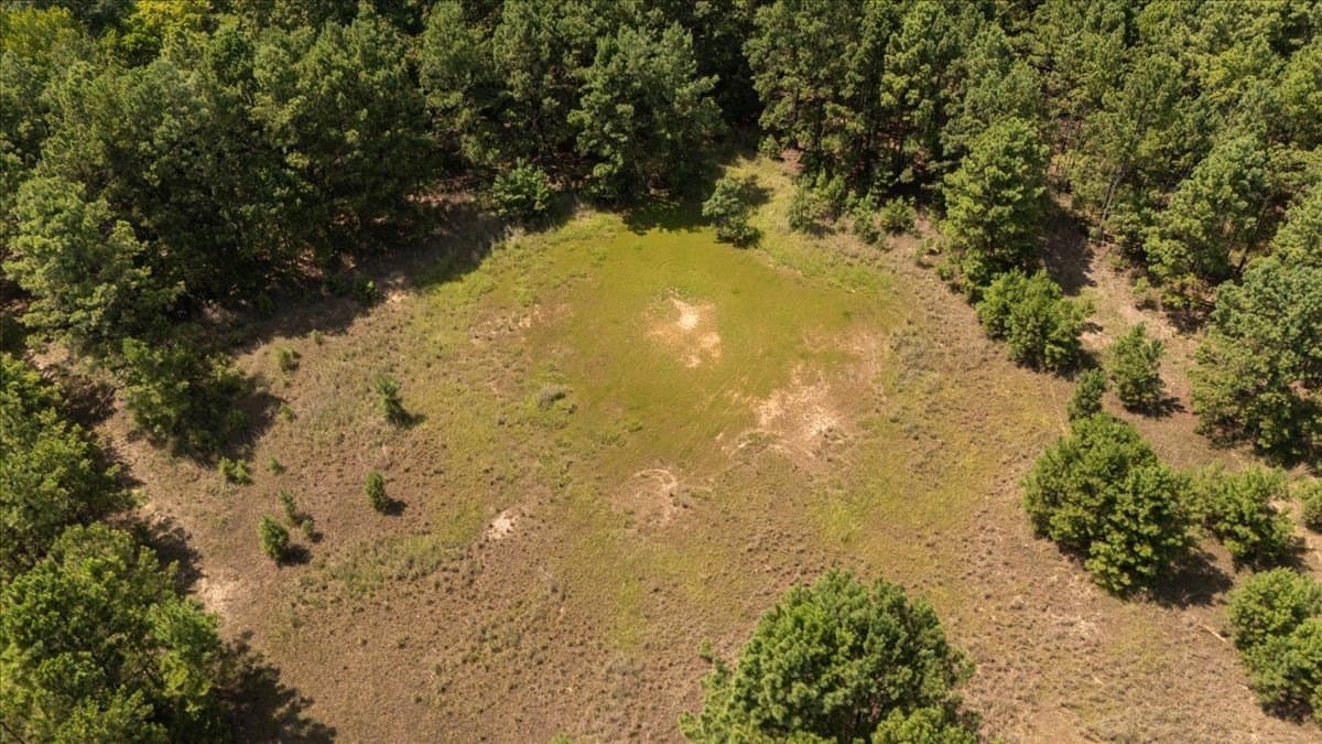 25 acres in Henderson County - photo 7