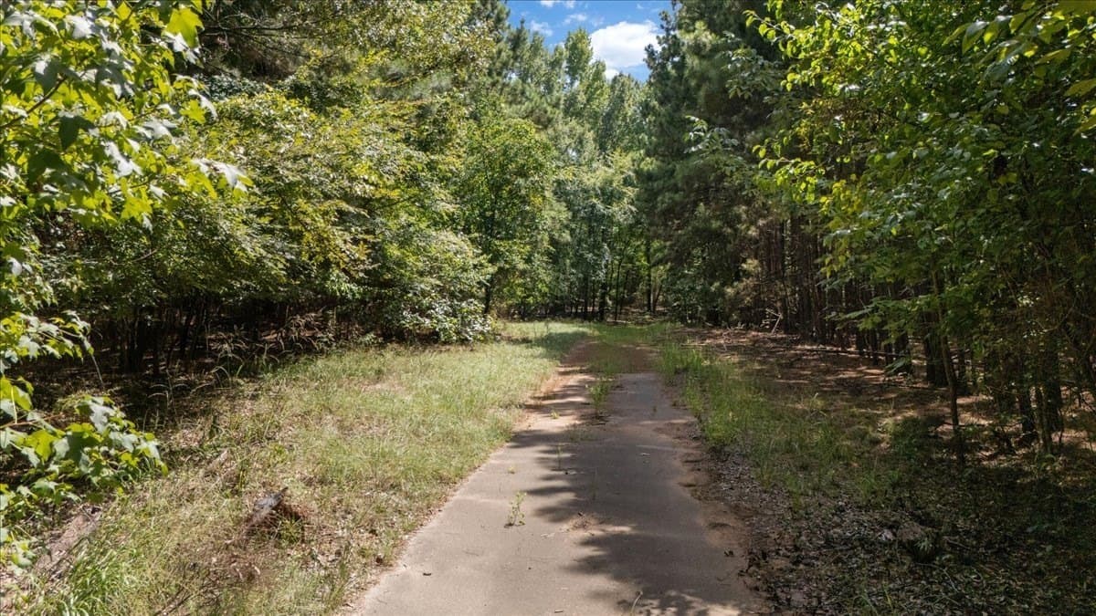 25 acres in Henderson County - photo 12