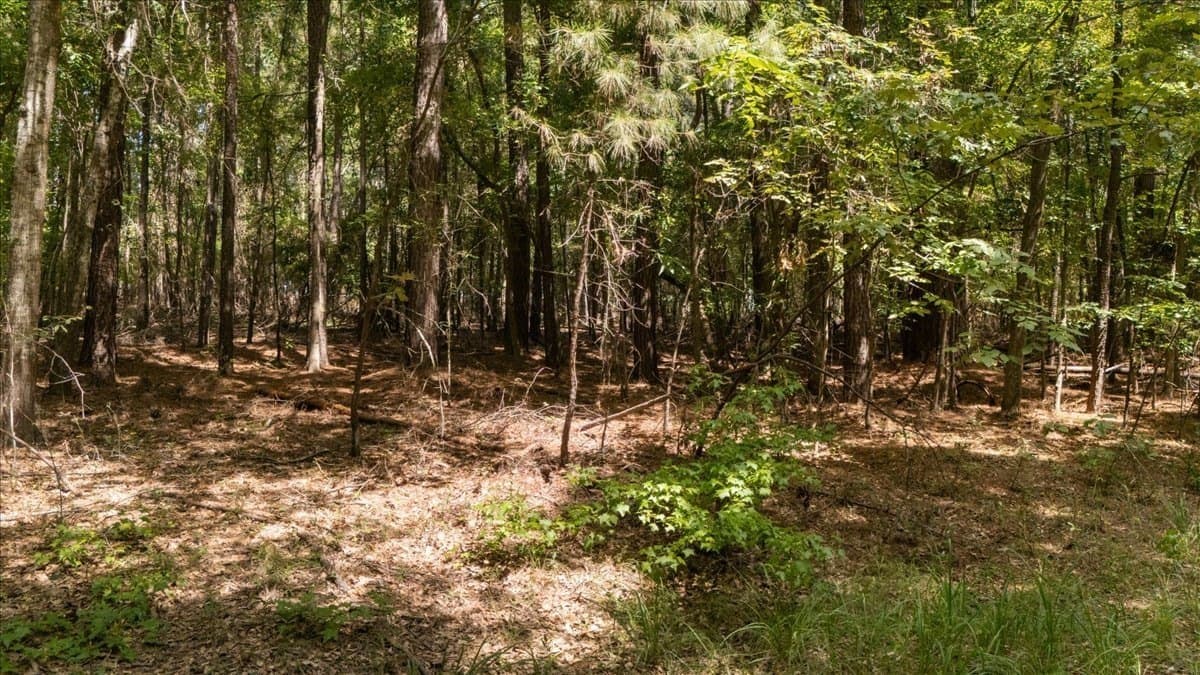 25 acres in Henderson County - photo 11