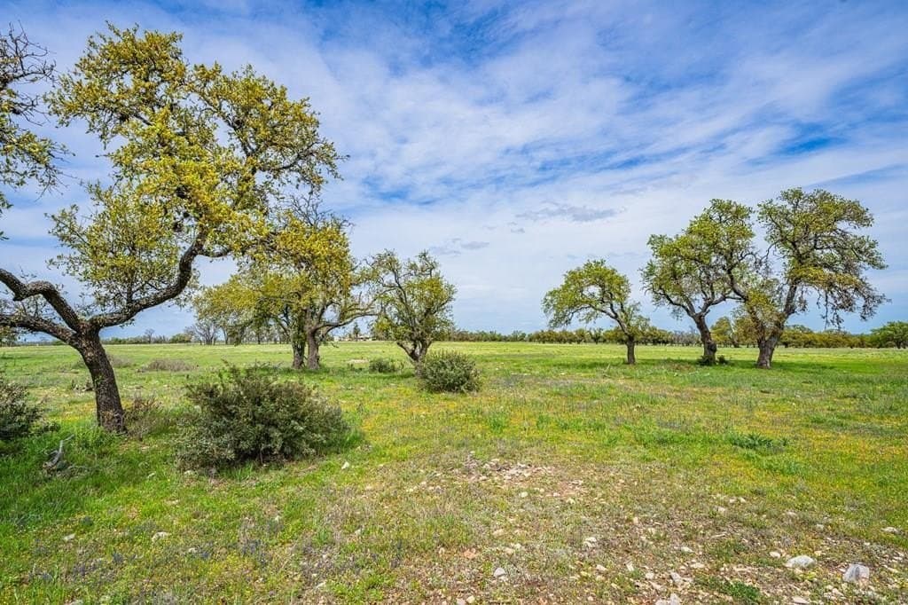5.7 acres in Gillespie County gallery image 2