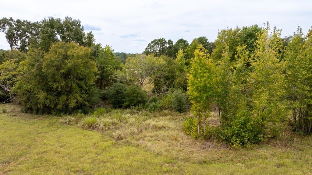 21.12 acres in ANDERSON County - photo 4