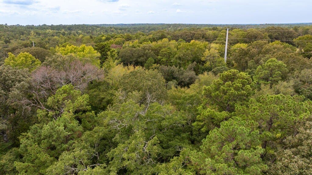 21.12 acres in ANDERSON County - photo 7