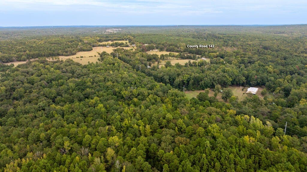 21.12 acres in ANDERSON County - photo 14