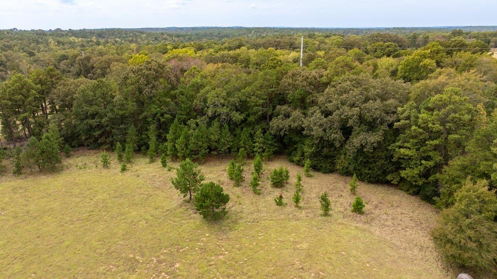 21.12 acres in ANDERSON County - photo 9