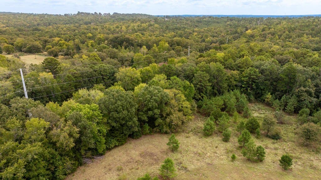 21.12 acres in ANDERSON County - photo 11