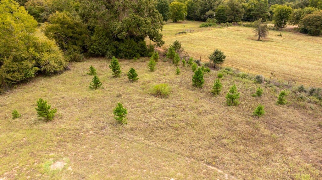 21.12 acres in ANDERSON County - photo 8