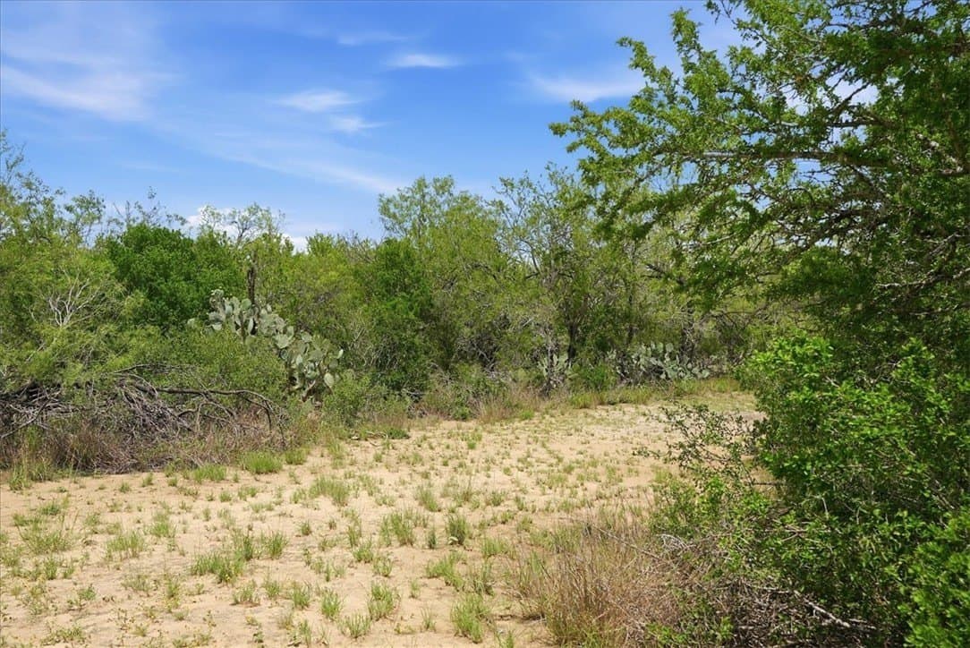 22.28 acres in Live Oak County - photo 7