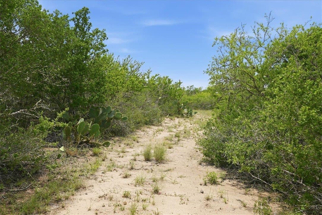 22.28 acres in Live Oak County gallery image 3