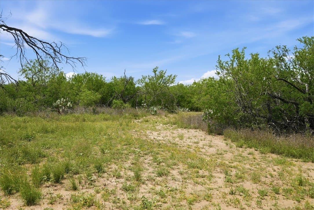 22.28 acres in Live Oak County - photo 6