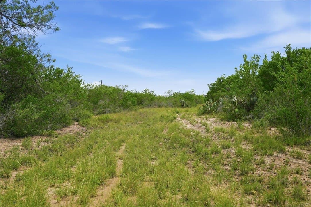 22.28 acres in Live Oak County gallery image 4