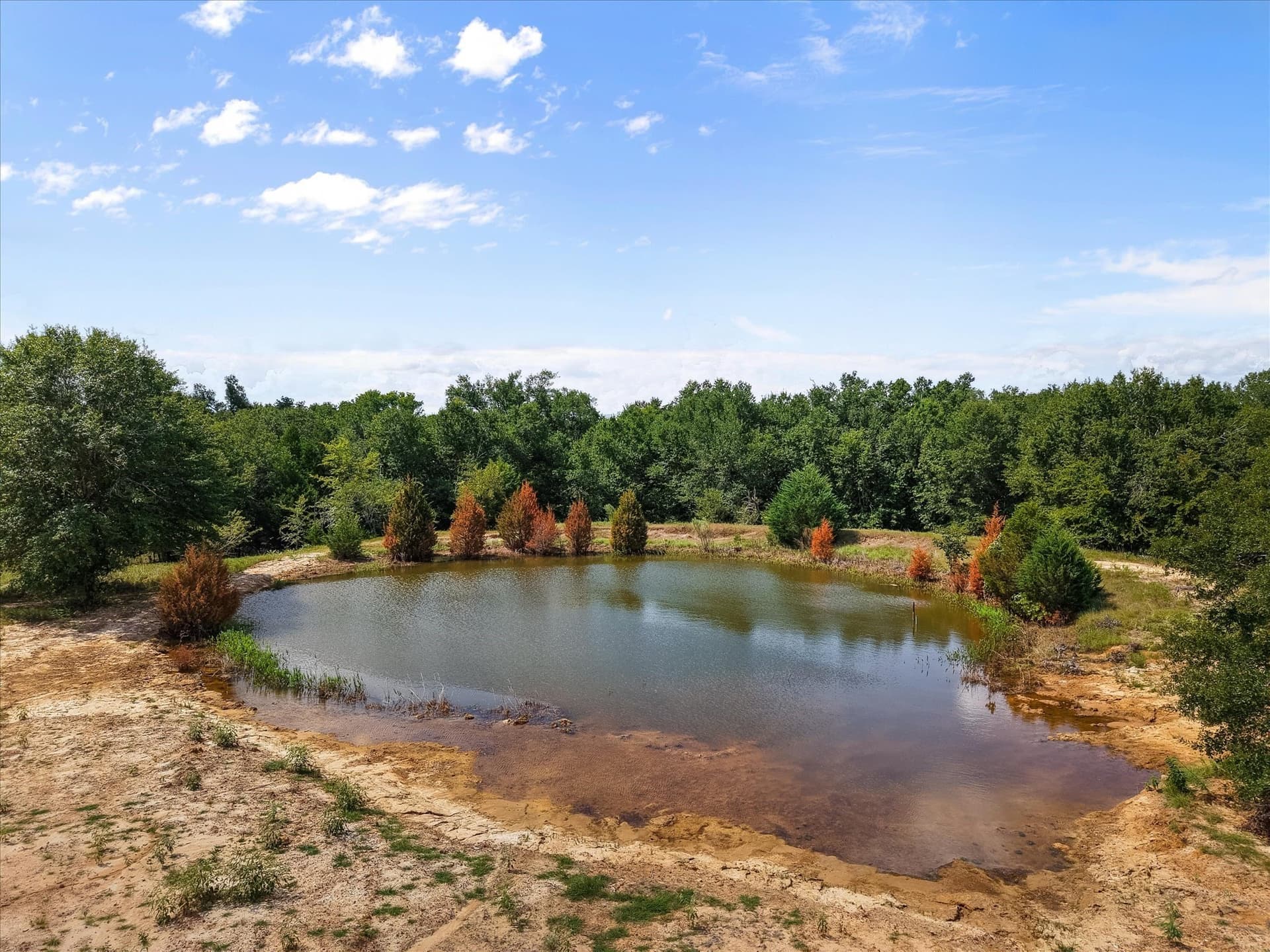 89.96 acres in Freestone County gallery image 2