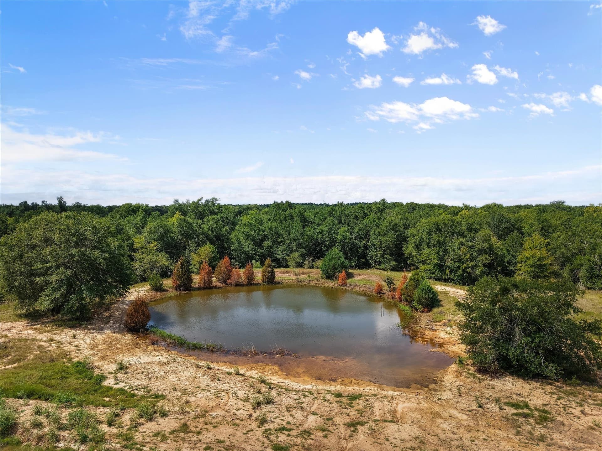 89.96 acres in Freestone County gallery image 3