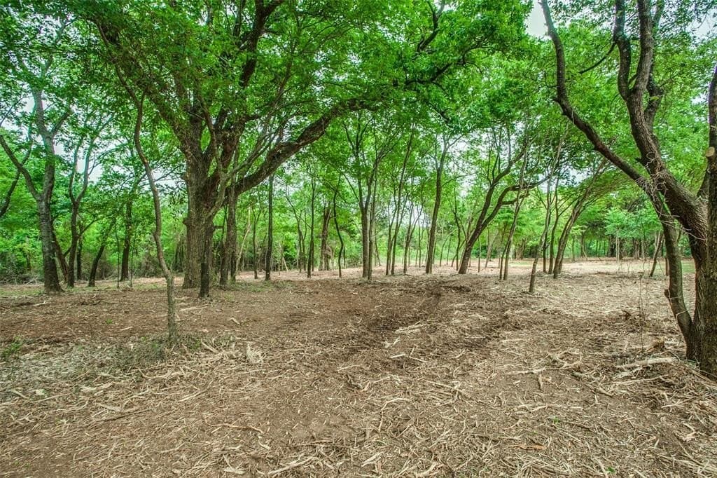 22.79 acres in Denton County gallery image 2