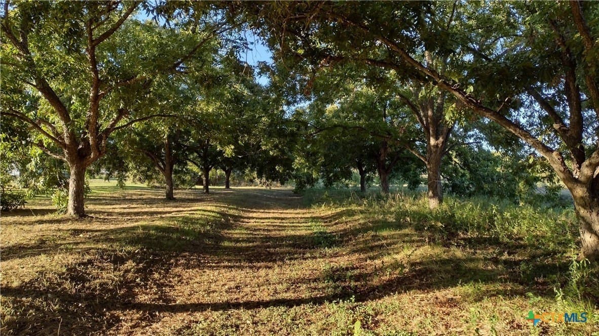 16.01 acres in Guadalupe County - photo 8