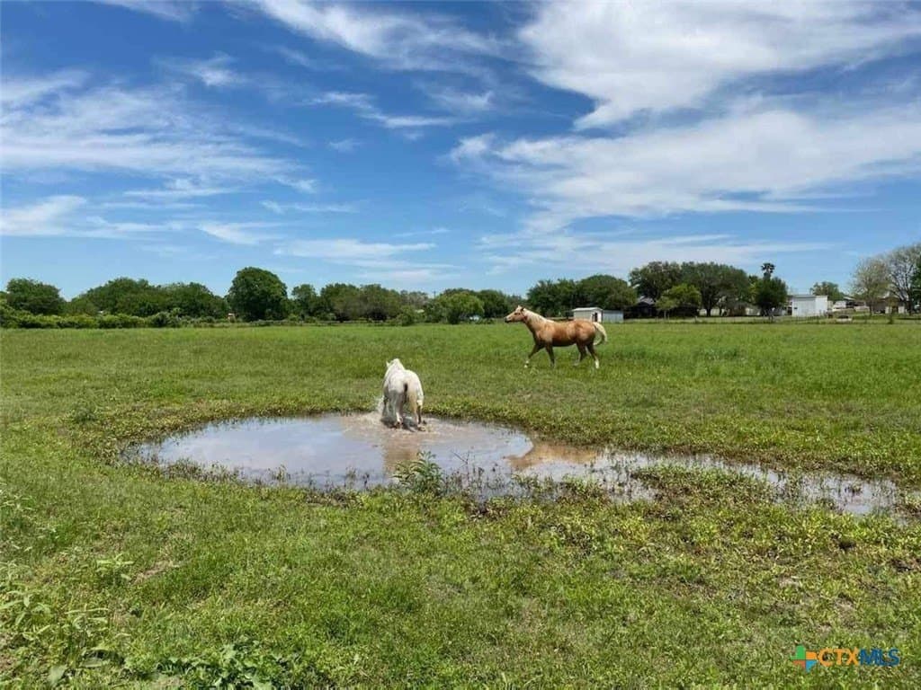 16.01 acres in Guadalupe County - photo 5