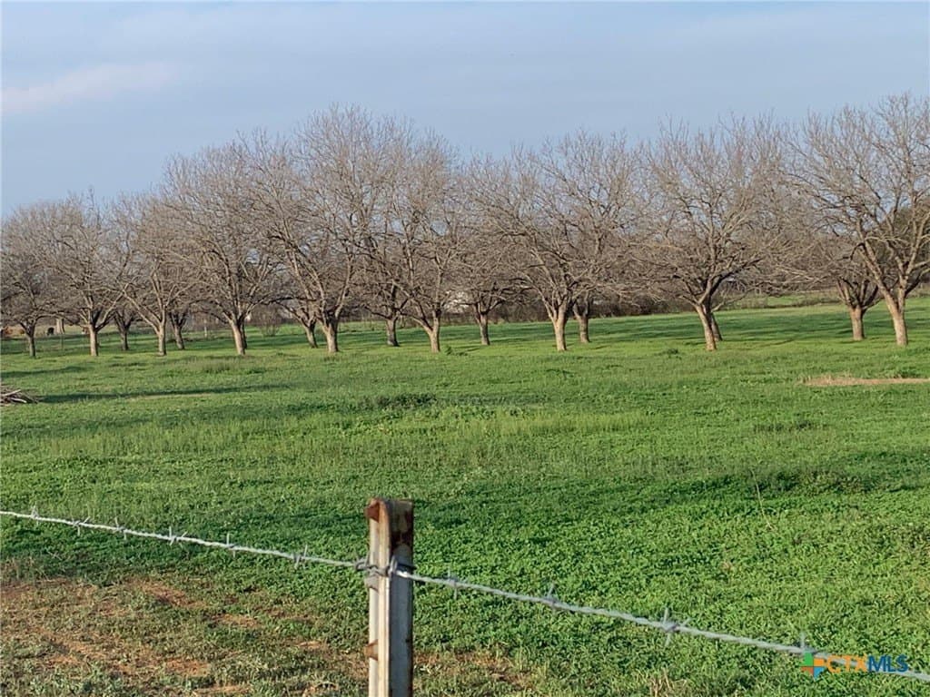 16.01 acres in Guadalupe County - photo 3